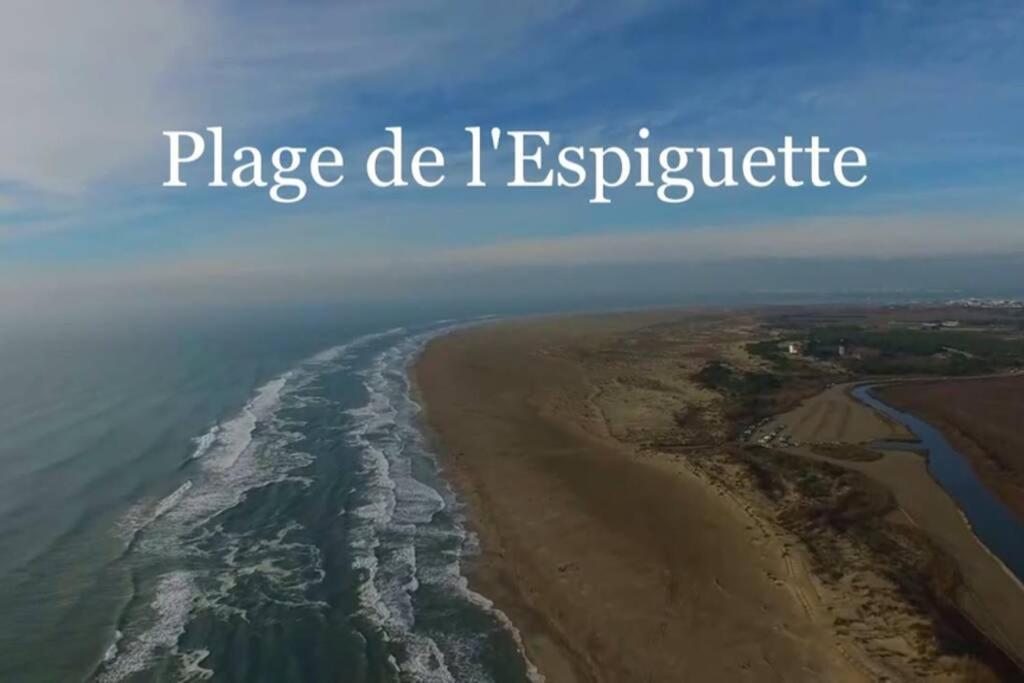 Grand Studio Au Grau-Du-Roi Proche Seaquarium Et Plage Le Grau-du-Roi Exterior foto
